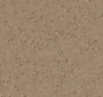 Линолеум Forbo Sphera Element 50025 earth фото 1 | FLOORDEALER